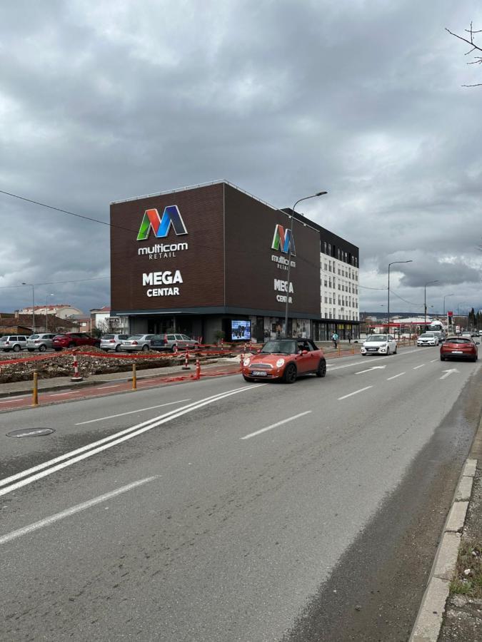 Selena Apartment Podgorica Bagian luar foto
